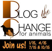 Blog the Change