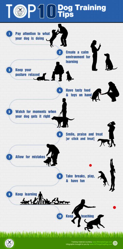  photo FINALTop_10_Dog_Training_Tips_zpsa730dadd.jpg