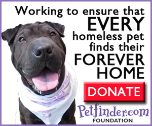 Donate to the Petfinder.com Foundation