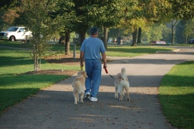 How to Stop Male Dogs From Peeing in the House