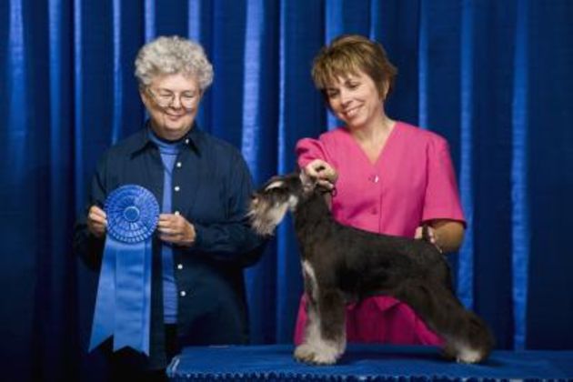 AKC Dog Show Rules & Points