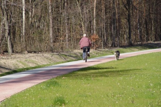 How to Run a Dog on a Bike