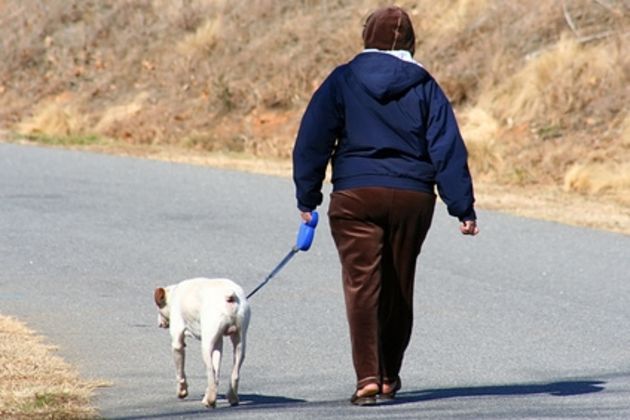 How to Stop a Dog from Dragging Back on the Leash