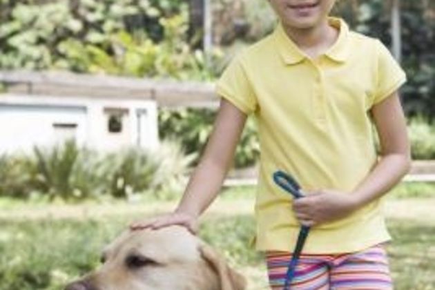 Companion Dogs for Autistic Kids