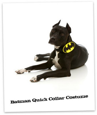 dog costume collar